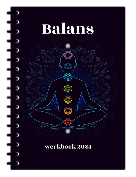 balans-werkboek