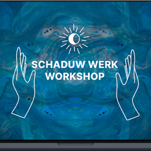 Schaduw Werk Workshop